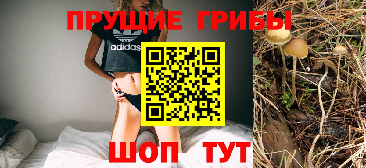 Изобильный  Галлюциногенные грибы Psilocybe  Вход с VPN  Псилоцибиновые грибы мухоморы 